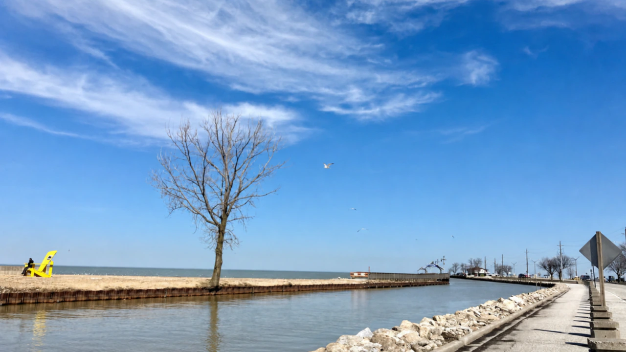 قناة Belle River قرب West Beach مع كرسي أصفر وشجرة والبحيرة