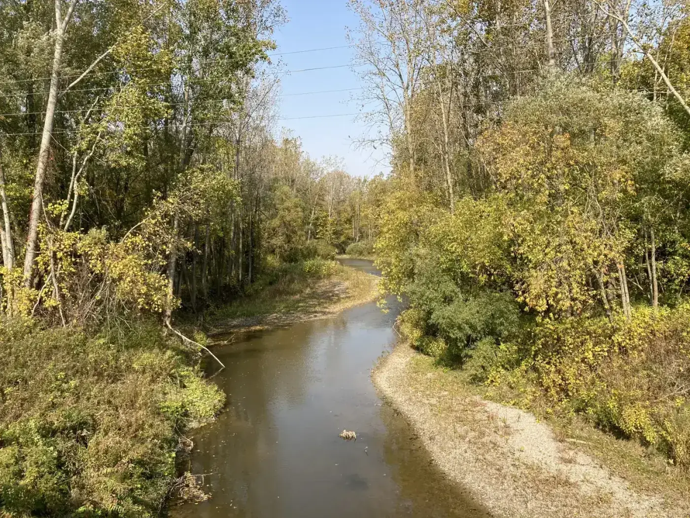 Curving creek na napapalibutan ng mga puno malapit sa Aylmer Ontario