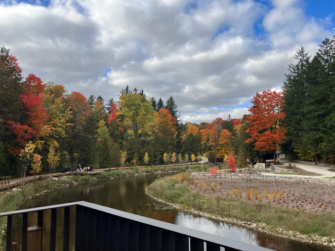 Belfountain Conservation Area｜Caledon 睇紅葉攻略