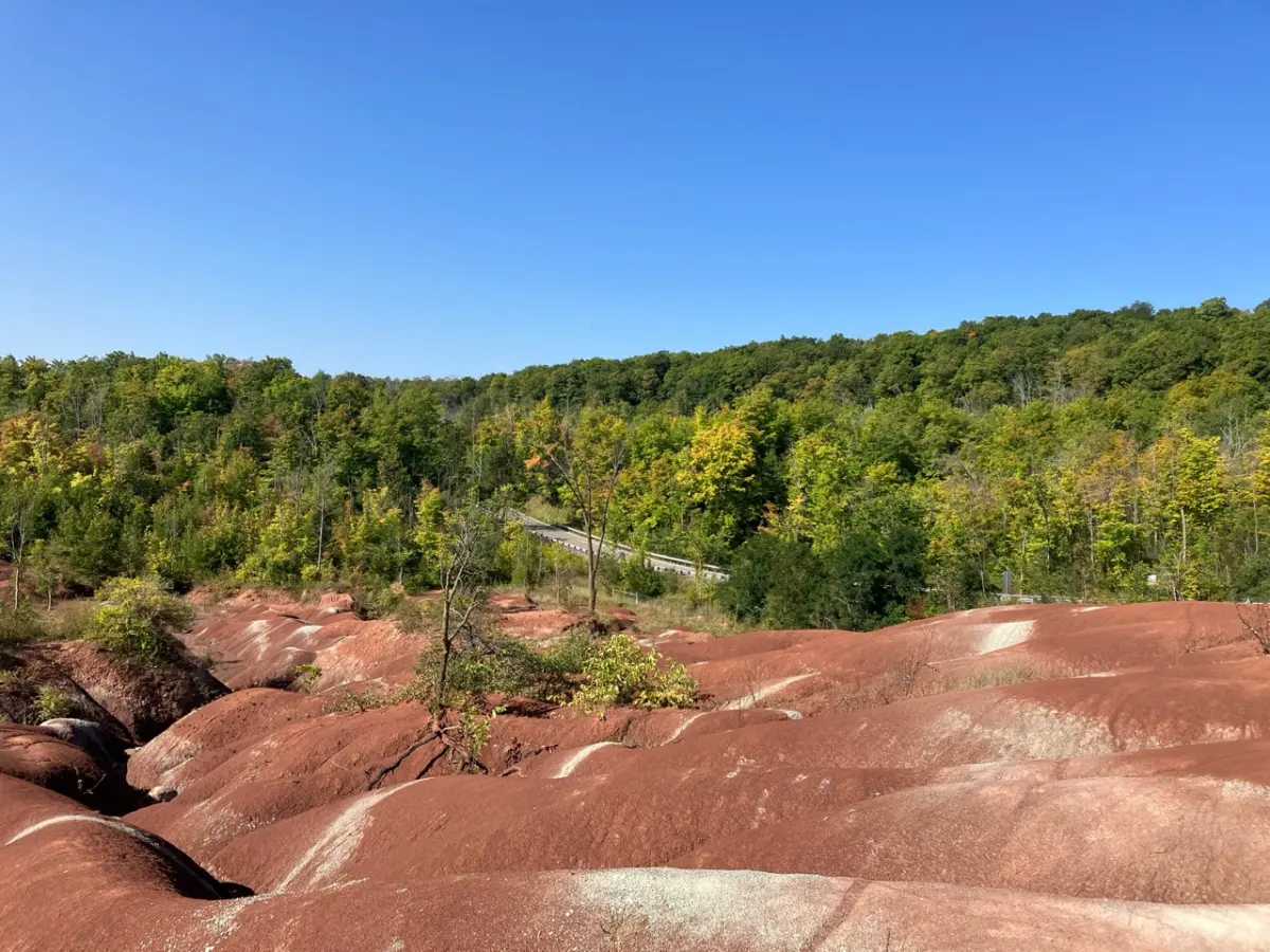 Cheltenham Badlands 預約指南