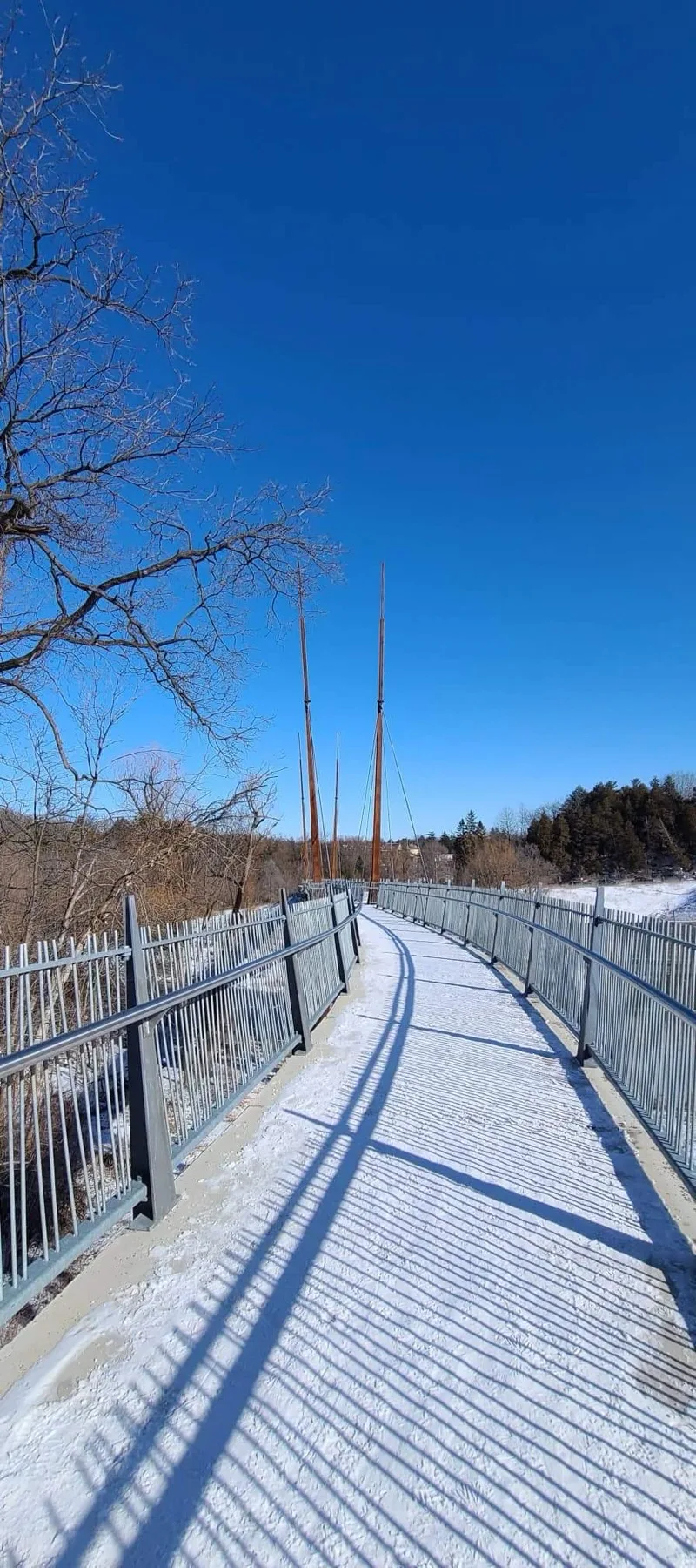Winter bridge and trees at Milne Dam Conservation Park