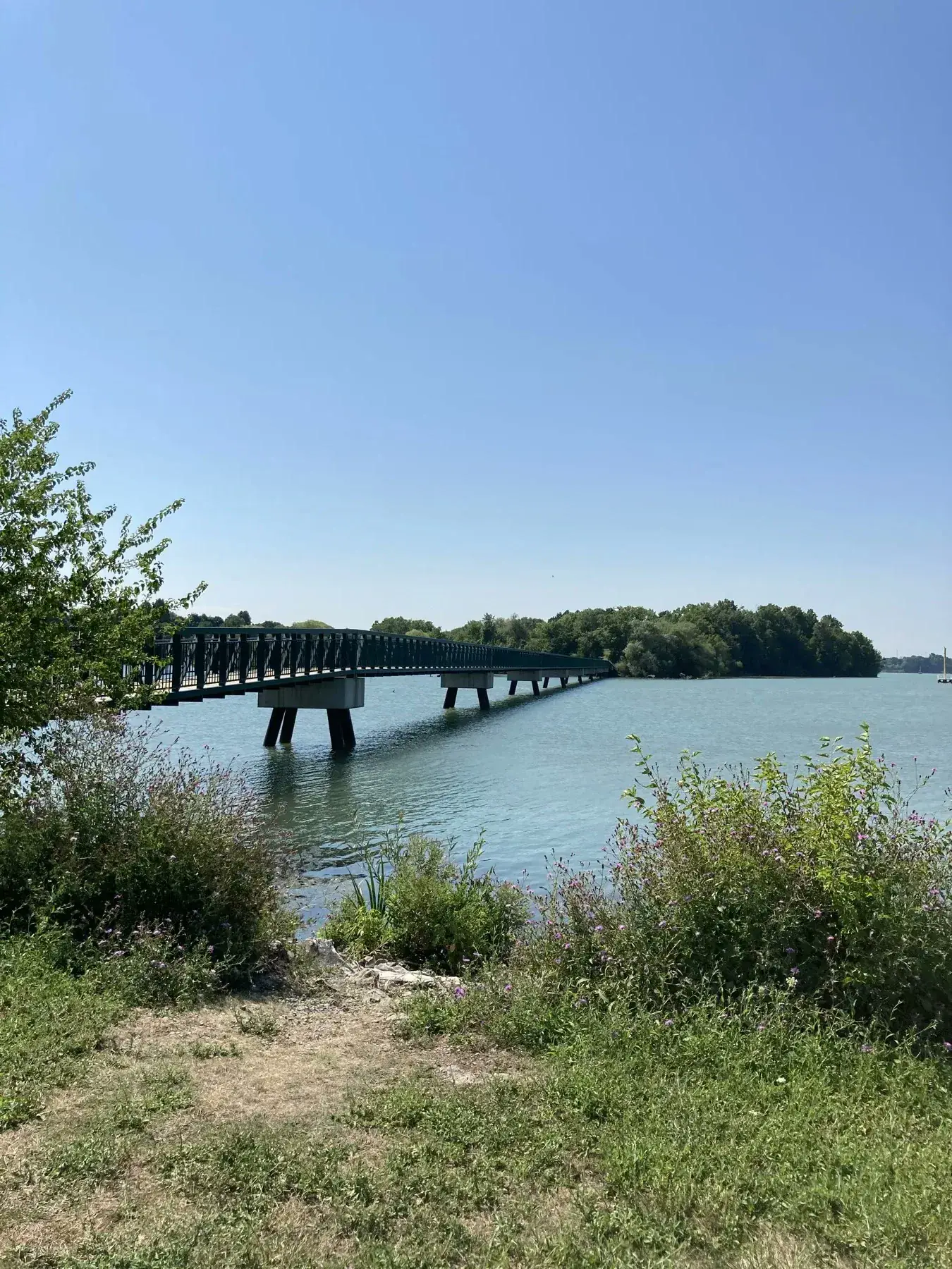 Bridge and water view near a green island in St. Catharines