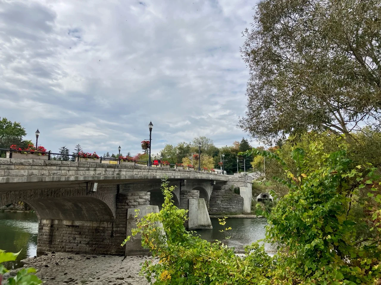 树木之间横跨河流的 Victoria Bridge