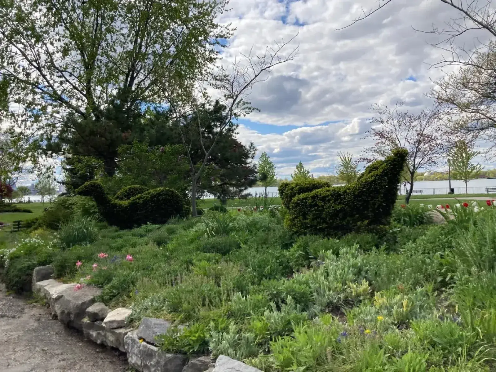 Animal-shaped topiary and garden beds near Coventry Gardens in Windsor