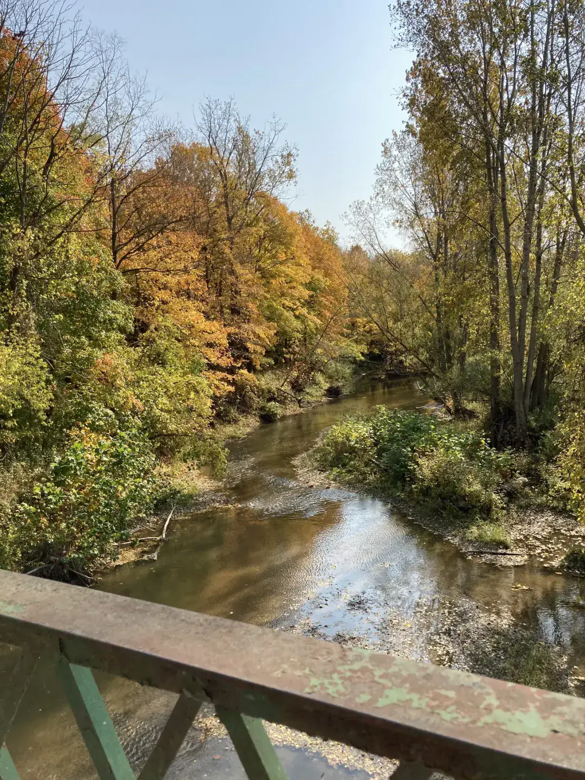 Creek view with fall colour near Sparta Ontario