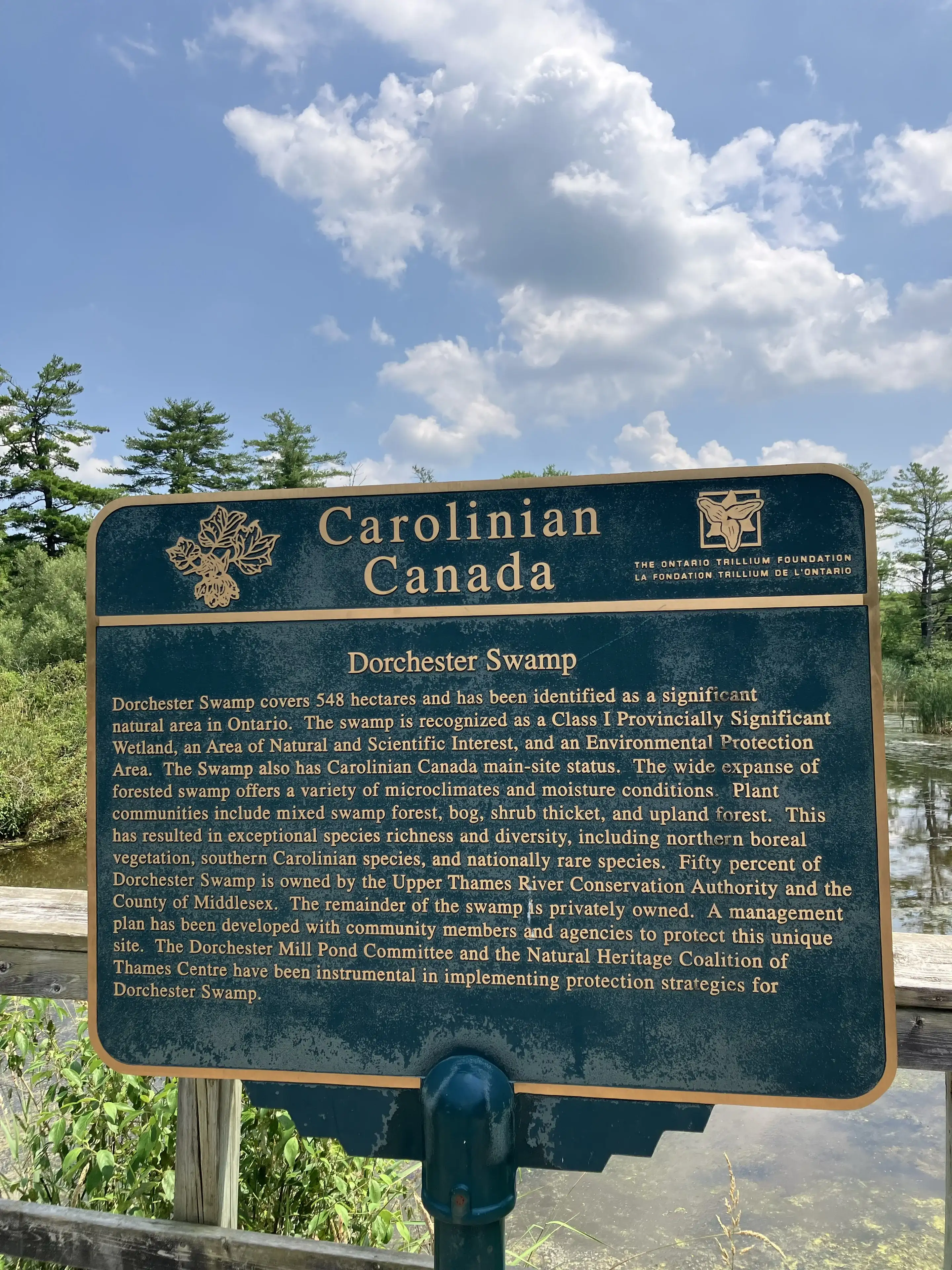 Carolinian Canada Dorchester Swamp interpretation sign