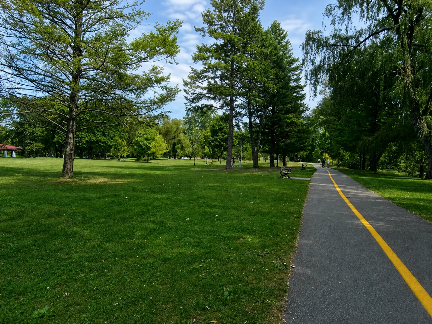 Paved multi-use path and lawns in Gibbons Park