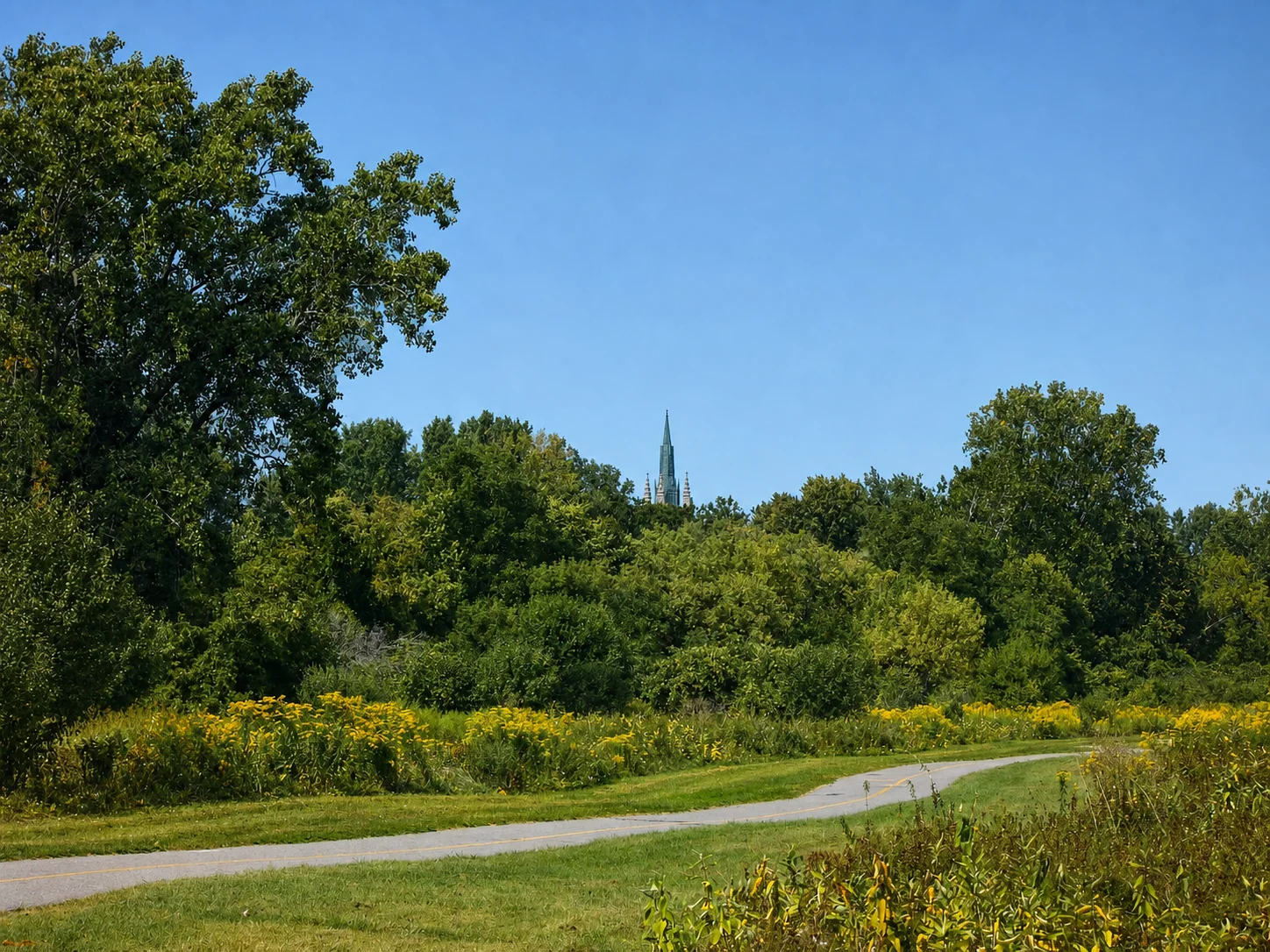 Western University tower visible beyond Gibbons Park