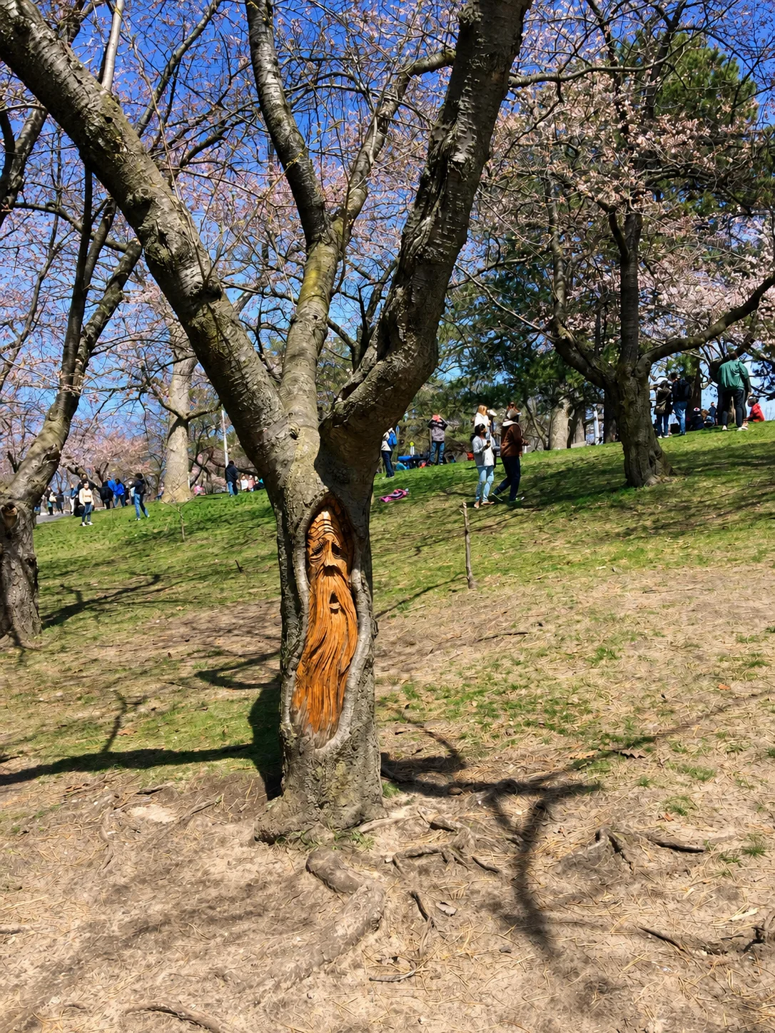 High Park Toronto: An All-Season Ontario, Canada Outing