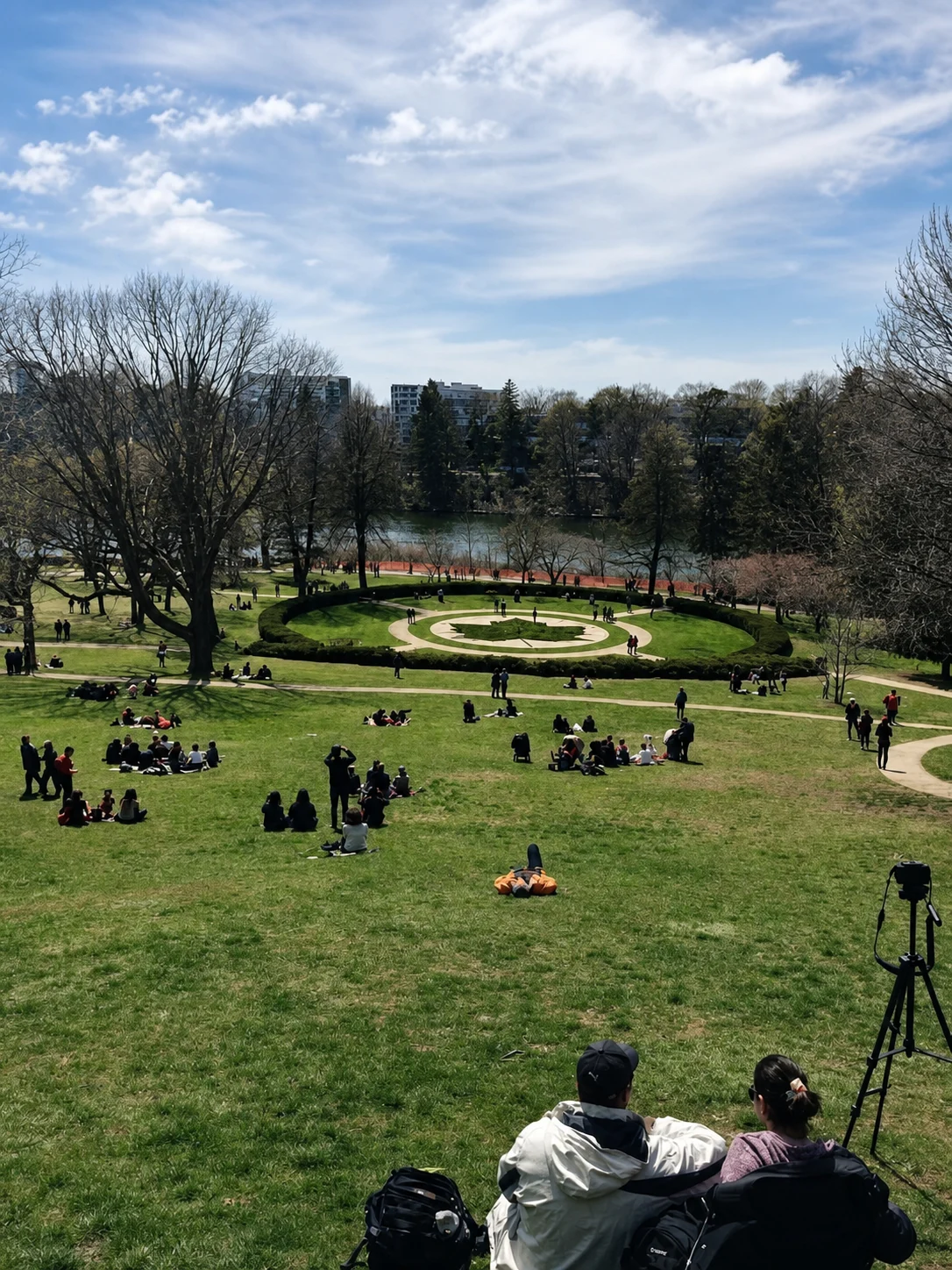 Visitors on sloping lawns during spring blossom season in High Park Toronto