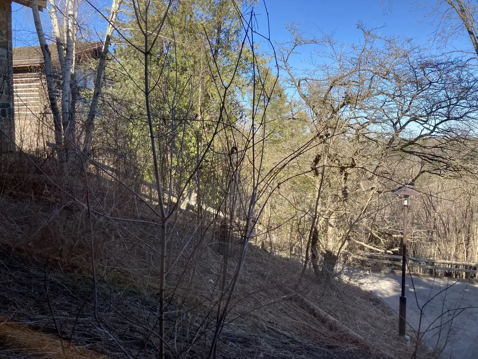 McMichael grounds with trees and paved path near the gallery building