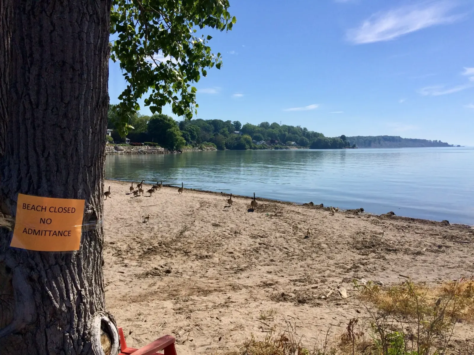 Port Stanley beach with a beach closed sign and calm water