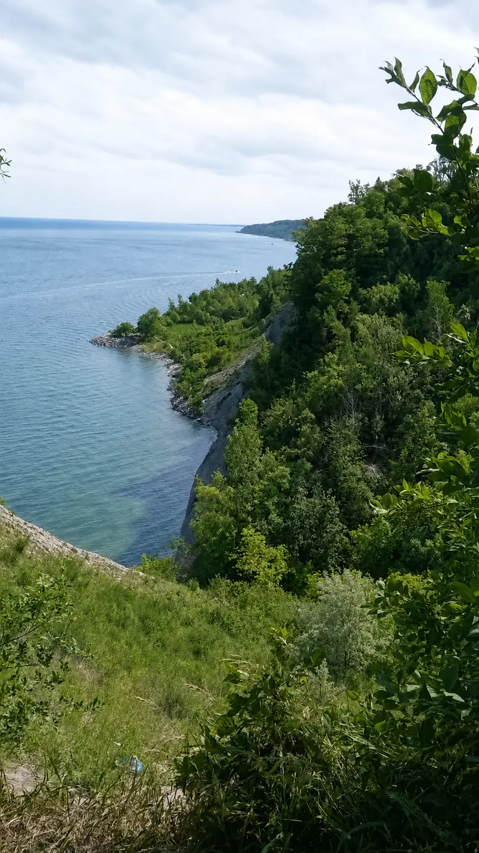 Green shoreline and Lake Ontario viewed from the top of the Scarborough Bluffs
