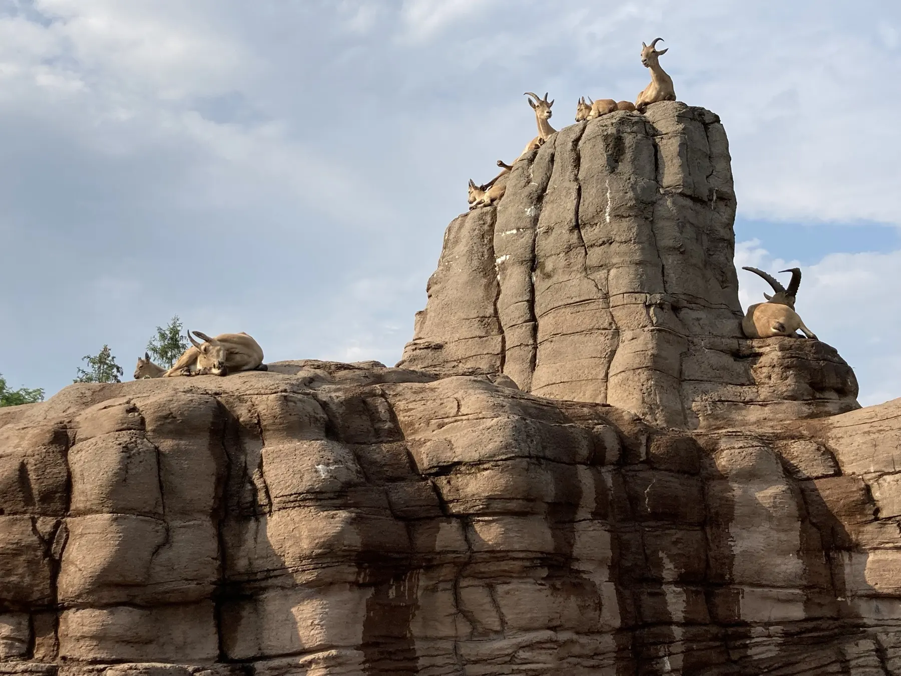 Toronto Zoo
