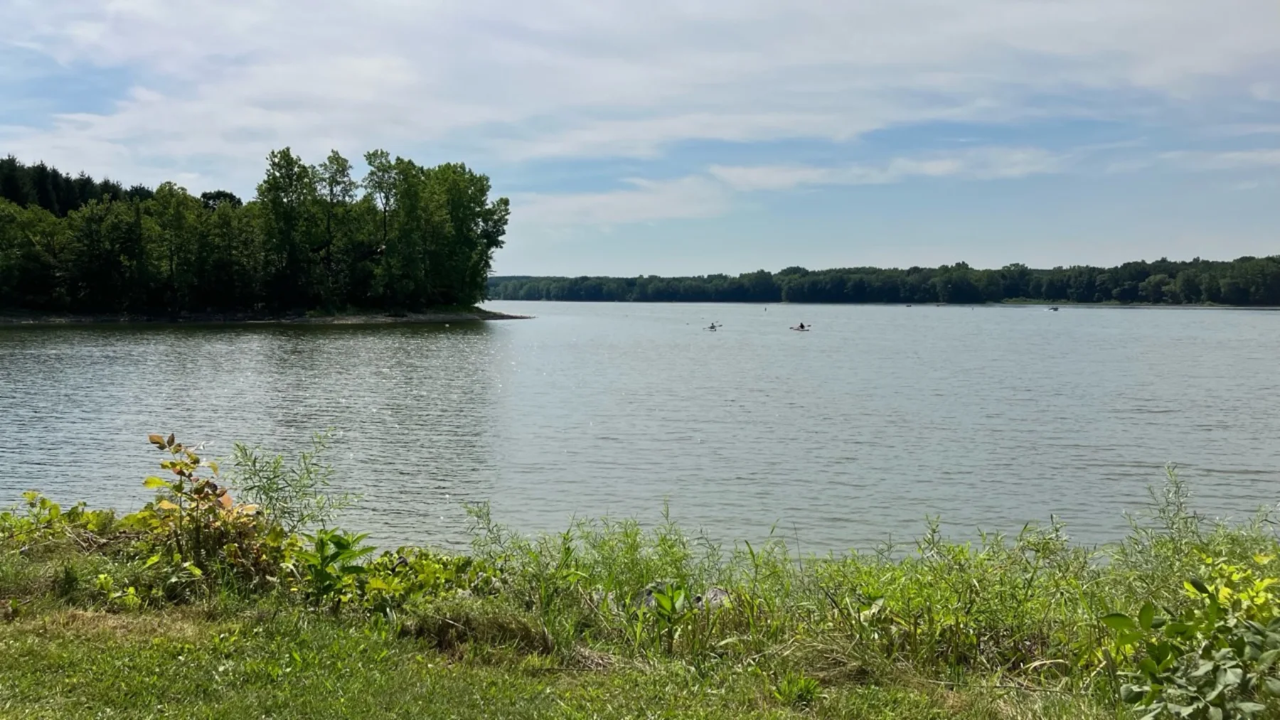 Wildwood Conservation Area: Lake, Trails & Swimming