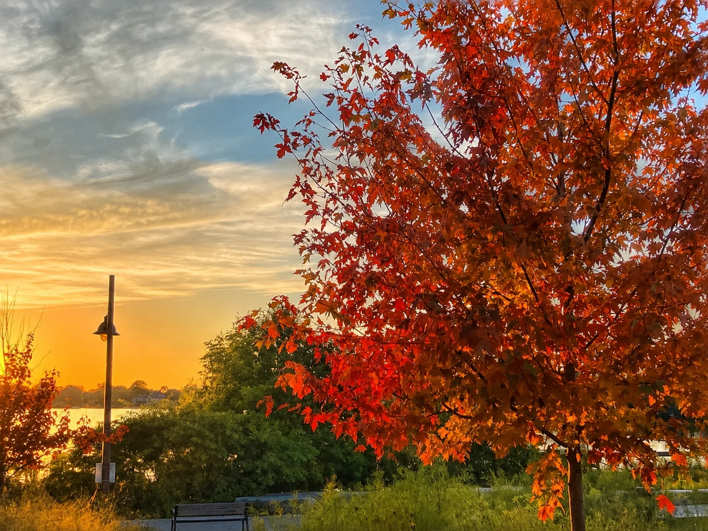 Red maple leaves on the park approach add a fall-colour stop before the lake.