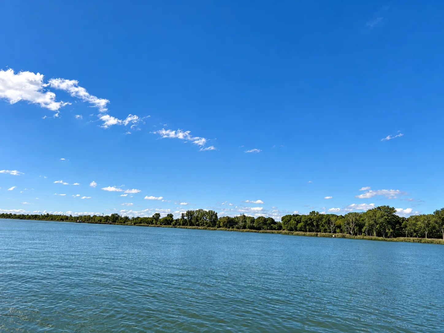 Open river view and the opposite tree-lined shore from LaSalle's waterfront.