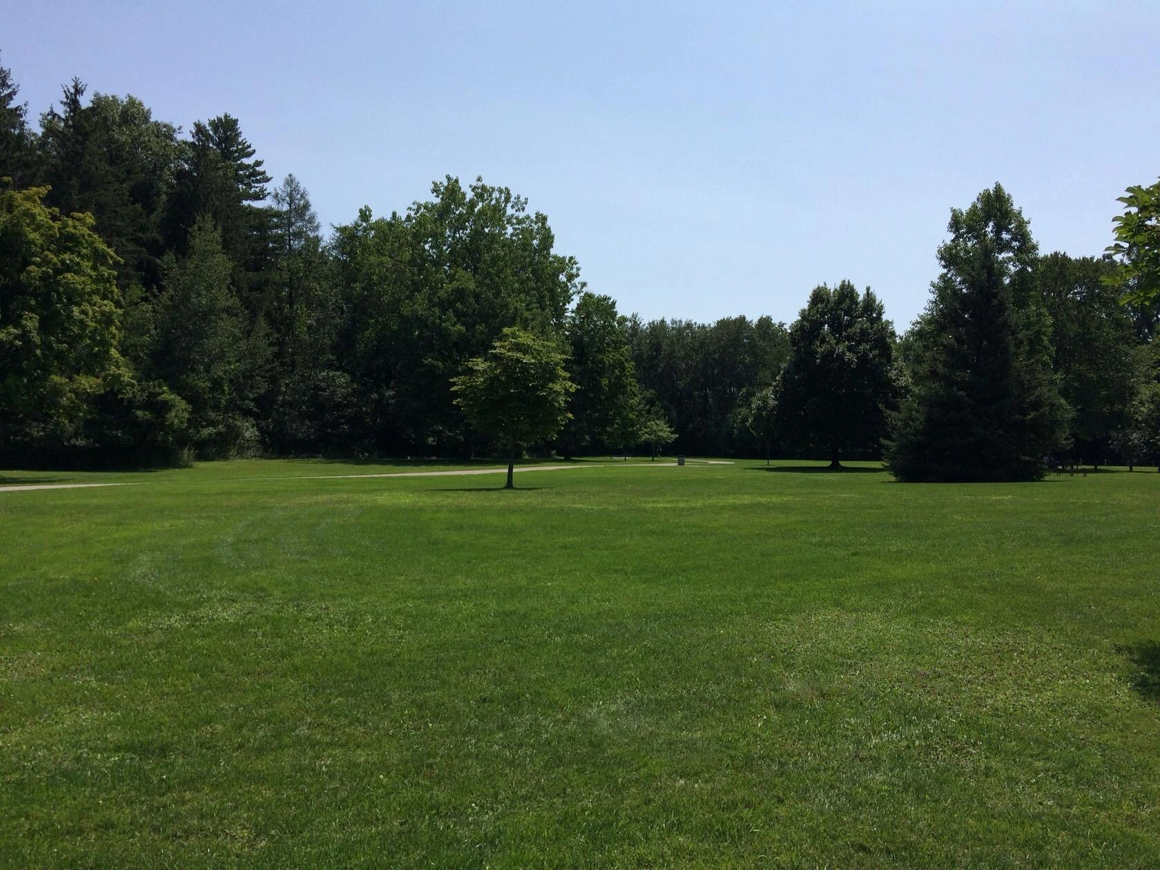 Open lawn and walking path surrounded by mature trees at Pinafore Park