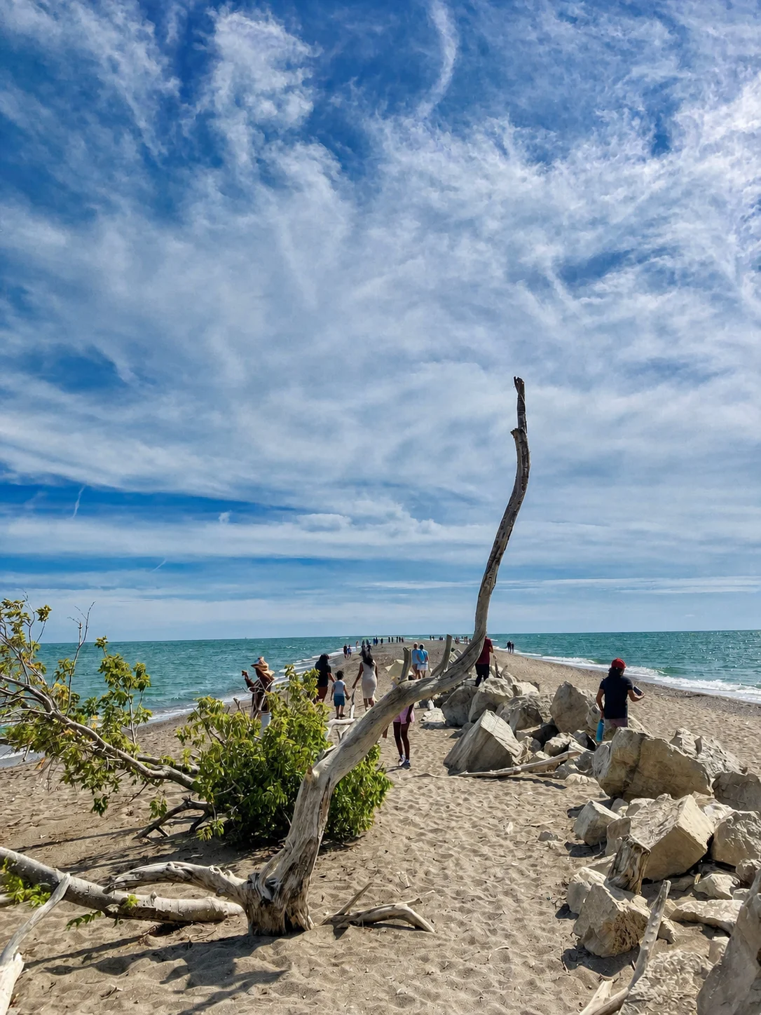 Driftwood, sand and visitors on the narrow Point Pelee Tip with Lake Erie on both sides