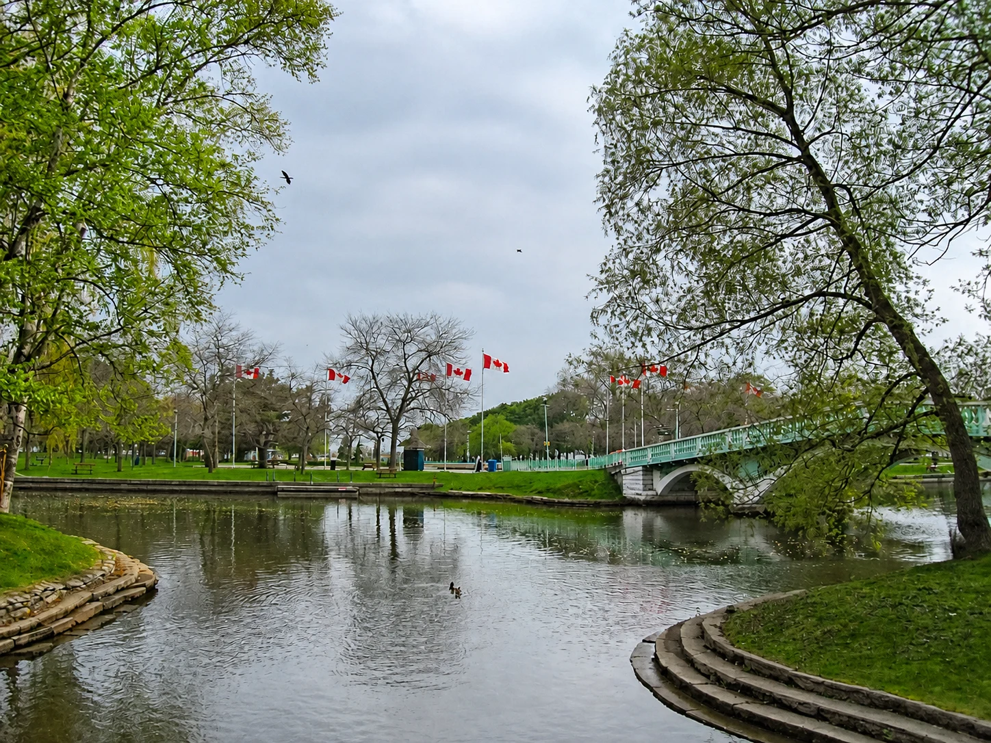 Centre Island lagoon, bridge, Canadian flags and wildlife