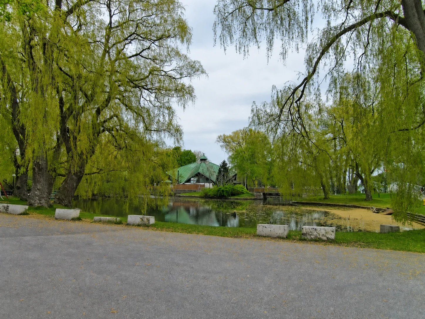 Willow trees reflected in a quiet Centre Island lagoon