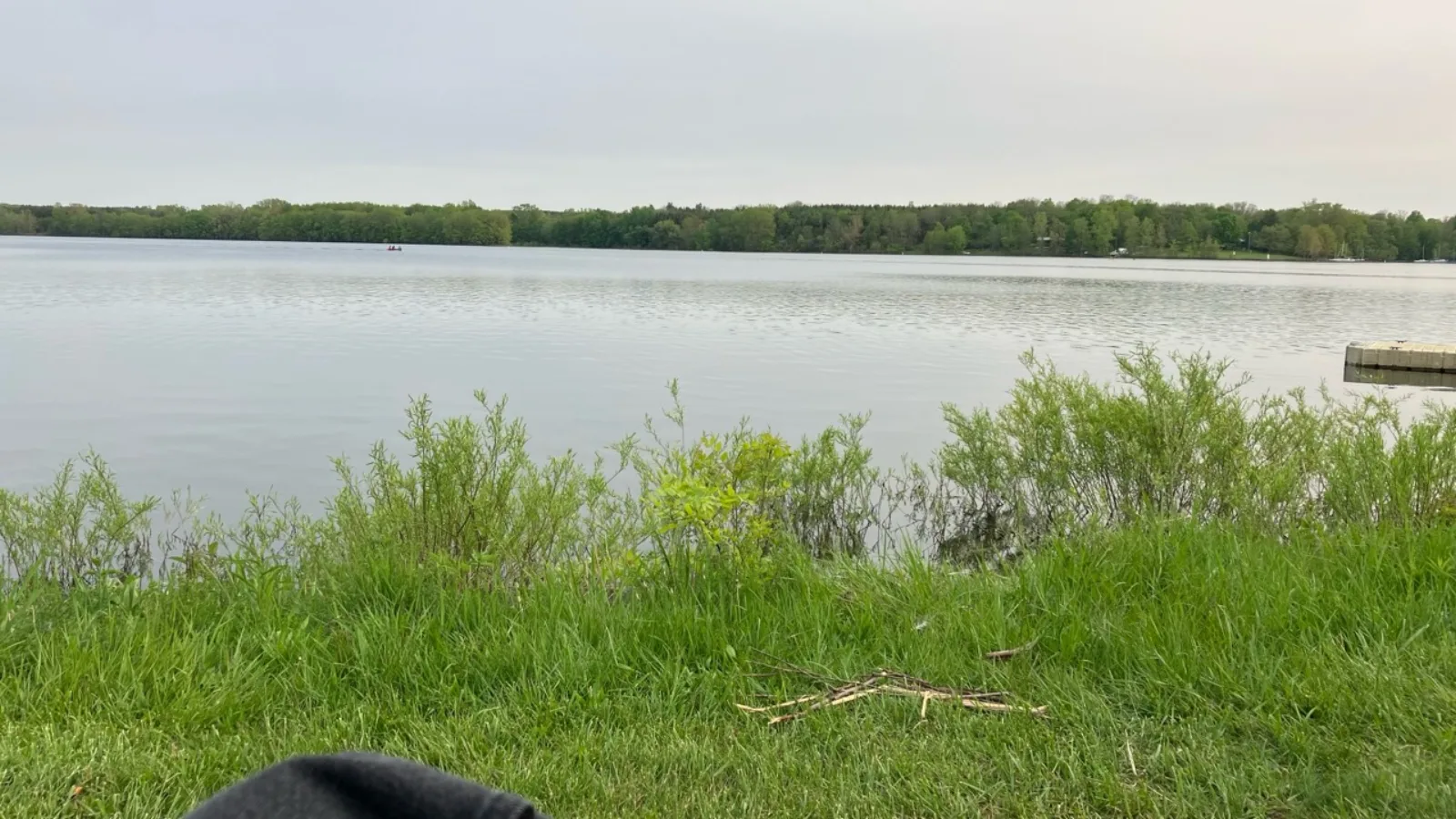 Calm Wildwood Reservoir seen from its green shoreline